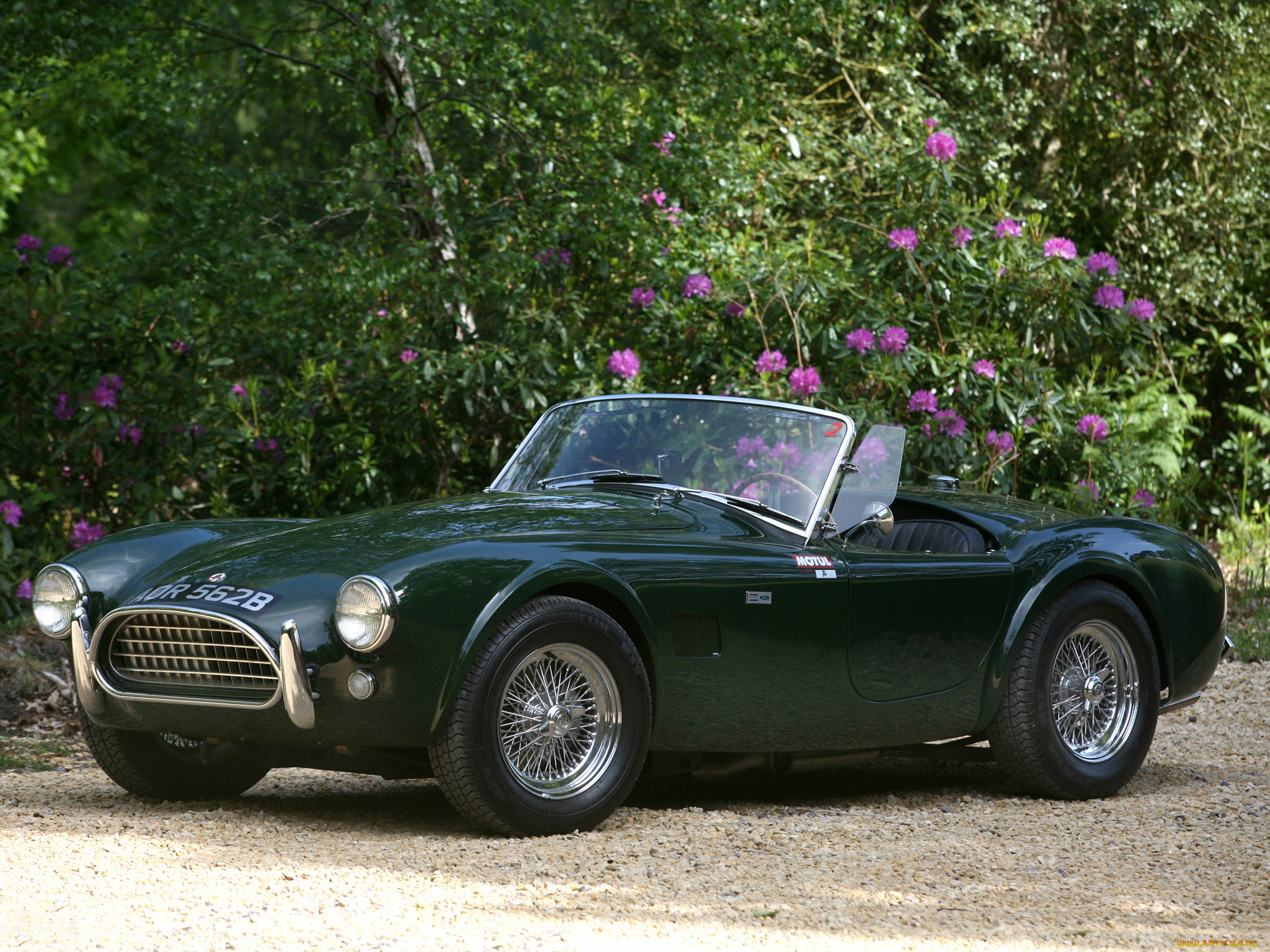 ac cobra mkii 1965, , ac cobra, shelby, ac, cobra, mkii, 1965